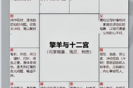 紫微斗数嫁 紫微斗数嫁二婚男？