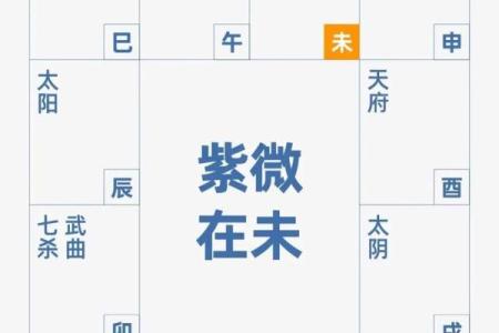 紫薇斗数教学谁的更好