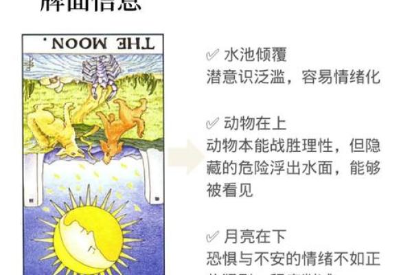 塔罗测试：十二月财运？