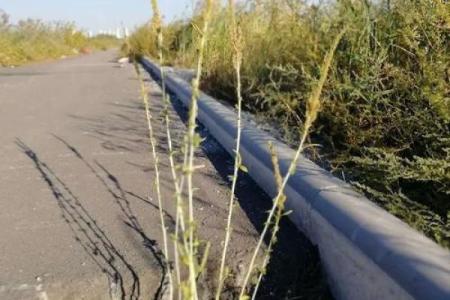 算命的说小孩扎根在水中