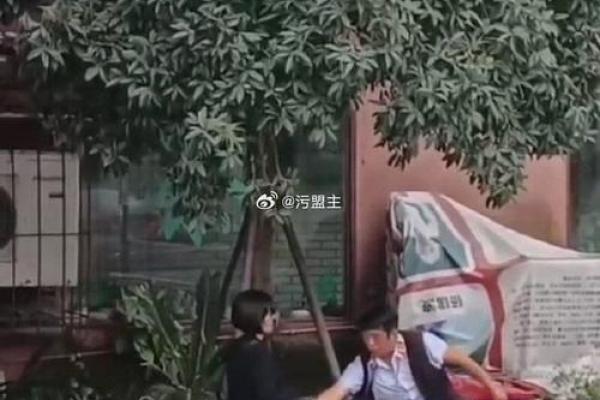 马来西亚算命先生 马来西亚算命先生