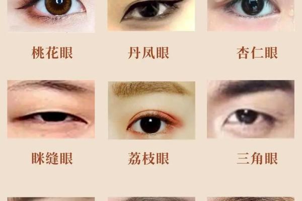 眼相算命图解大全 眼相算命图解大全