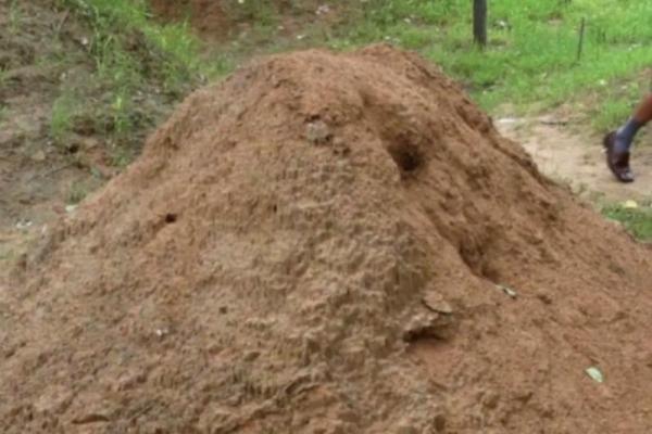 农村房子长草风水好吗