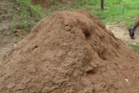 农村房子长草风水好吗