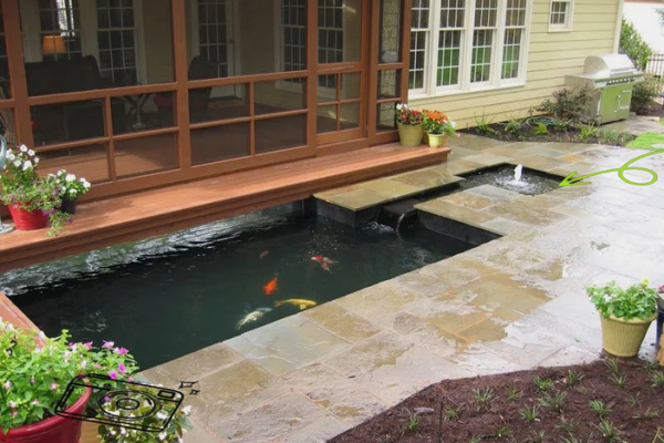 房子左右有鱼塘风水好吗