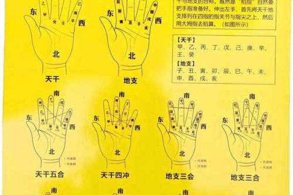嗡爷八字教程6 天干地支的作用关系