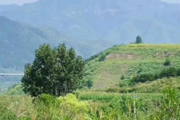 风水学中的龙楼宝殿指的是什么 风水学中的龙楼宝殿指的是什么