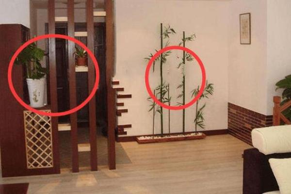 摆设风水_家居风水如何摆放能够招财