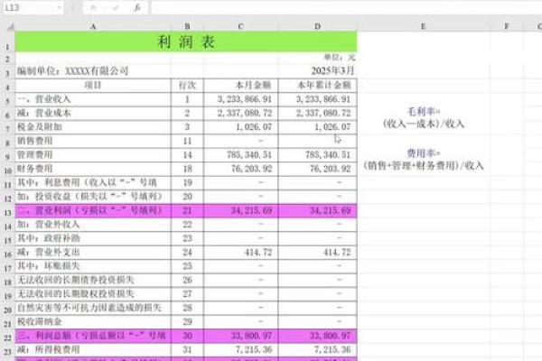 看懂利润表其实一点都不难，谨记八字箴言“长期稳定、获利能力”就足够