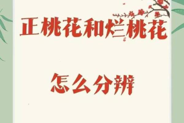 八字中有桃花什么意思