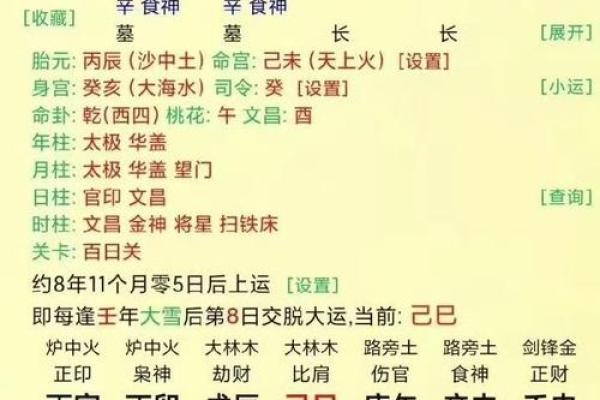 相同八字相同大运不同命运