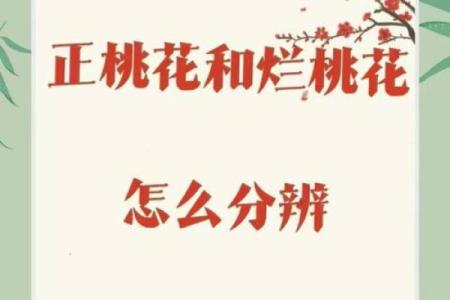 八字中有桃花什么意思