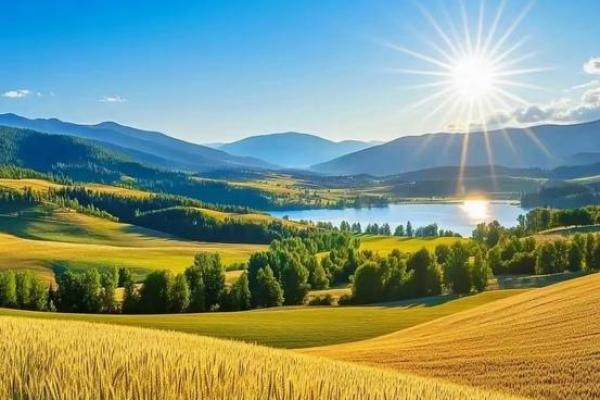 方位风水_成熟的麦子摆放在家里的什么位置更好