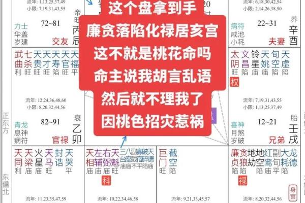 紫微斗数排盘疾厄宫自化忌是什么意思？
