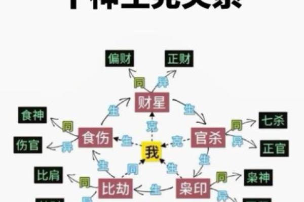 双食神八字查法详解：掌握五行属性，洞彻运势走向