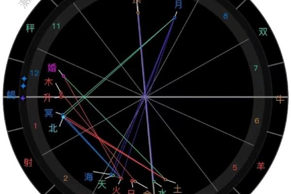 一人一生一次占星，用星盘看透你的未来