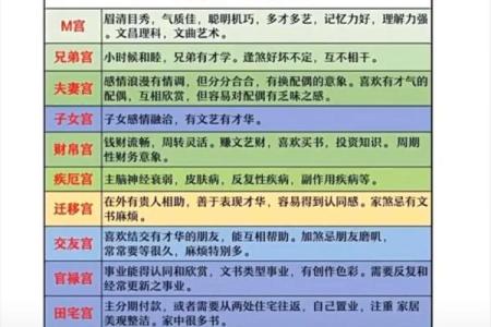 紫薇斗数大运和八字不一样