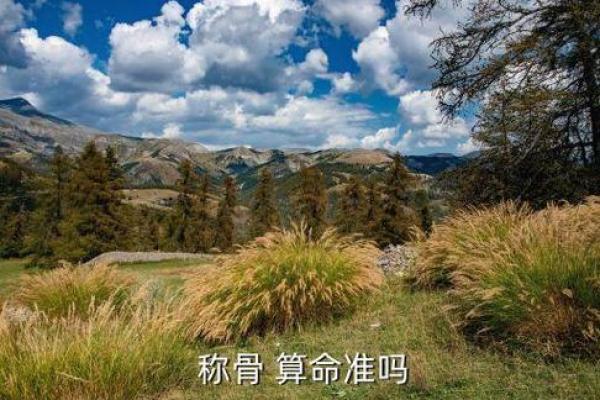 梦见算命师傅说会离婚 梦见算命师傅说会离婚