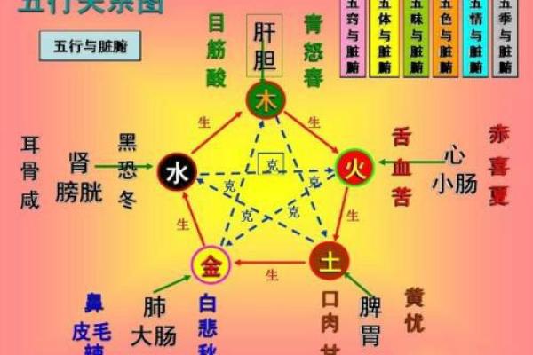 八字看疾病,八字看疾病解读 八字看疾病,八字看疾病解读