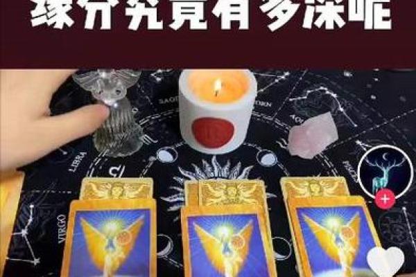 塔罗测试创业的你成功率大吗-