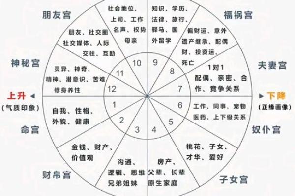 紫薇斗数子女宫看子女