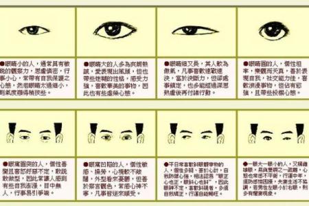 怎么看相算命,看相算命真的很准确