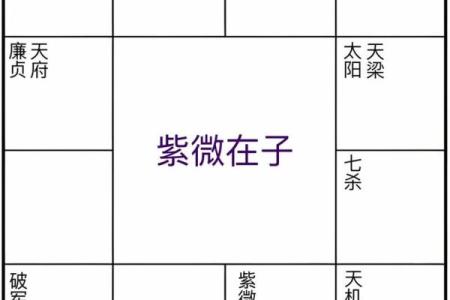 紫微斗数诸星落诸宫之：兄弟宫