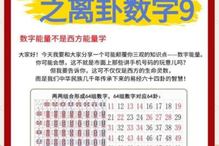 周易八字入门知识大全 周易八字选车牌号码