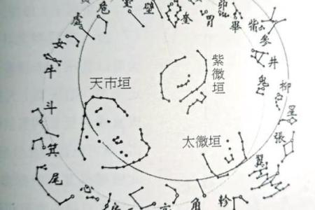 田宅宫有紫薇星七杀星