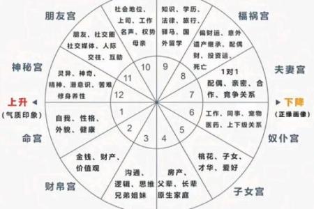 紫薇斗数子女宫看子女