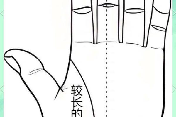 看手相算命生命线 手相图解生命线怎么看