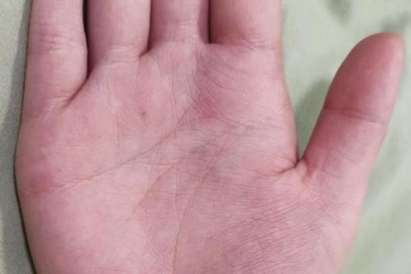 风水手相事业线止于感情线女人会有什么影响