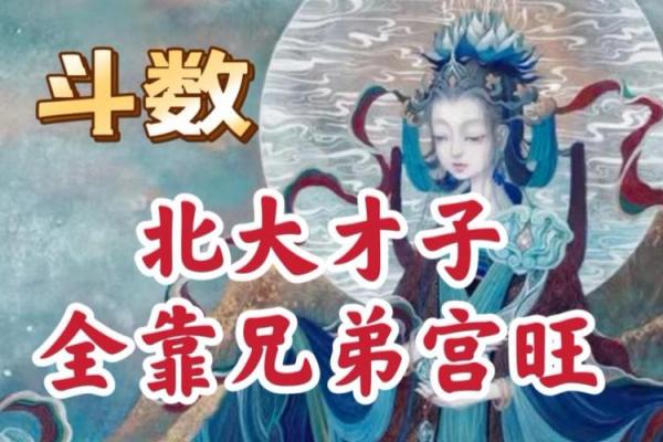 紫薇斗数看才子 紫薇斗数看才子