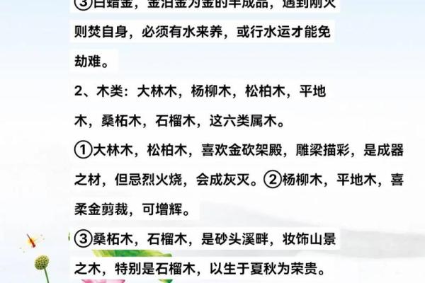 入门八字纳音论命的两种算法和谣言