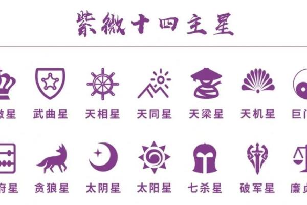 紫薇星盘星曜解析详解图