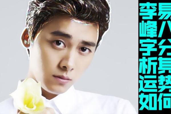 李易峰八字分析