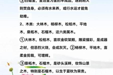 入门八字纳音论命的两种算法和谣言