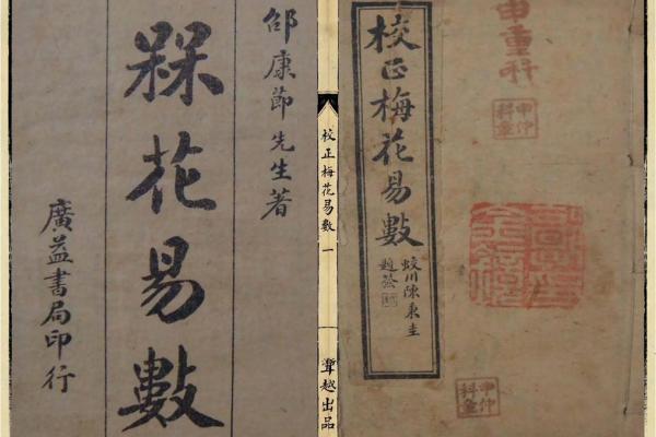 梅花易数算命入门书籍