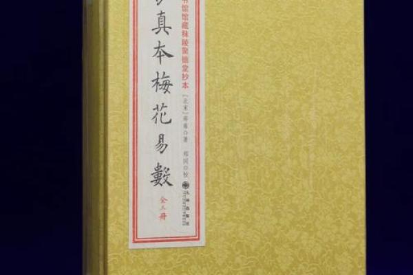 梅花易数算命入门书籍
