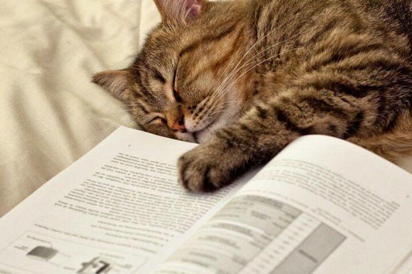 塔罗测试：期末能不能考到好成绩？