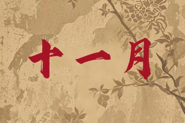 生辰八字解析-2024年农历十一月初十出生的孩子好吗