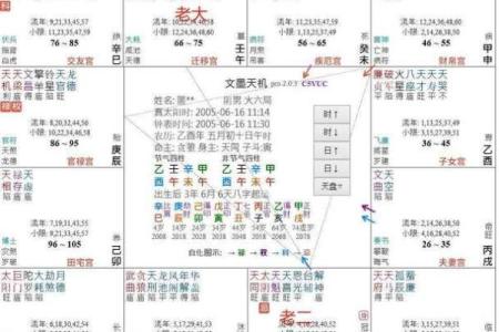 紫薇斗数看相貌宫位