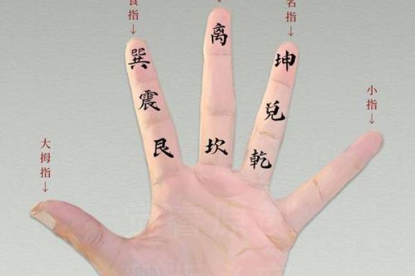 算命手势图含义