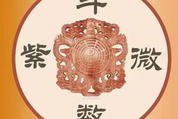 紫薇斗数的夹 紫薇斗数的夹