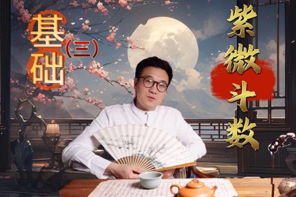 紫薇斗数的夹 紫薇斗数的夹