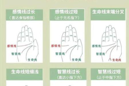 算命手势图含义