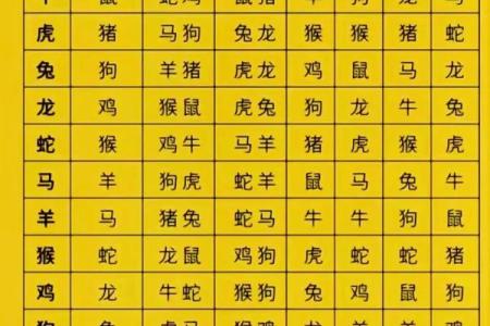 十二生肖算命婚姻配对准吗