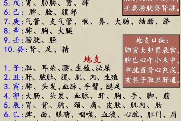 八字命理教学 八字教学比肩是指什么 八字十神之比肩比肩详解 八字命理教学 八字教学比肩是指什么 八字十神之比肩比肩详解