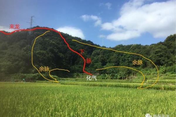 如何看阴宅风水宝地