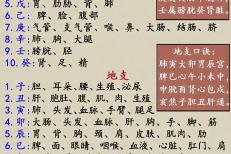 八字命理教学 八字教学比肩是指什么 八字十神之比肩比肩详解